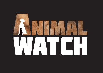 Animalwatch